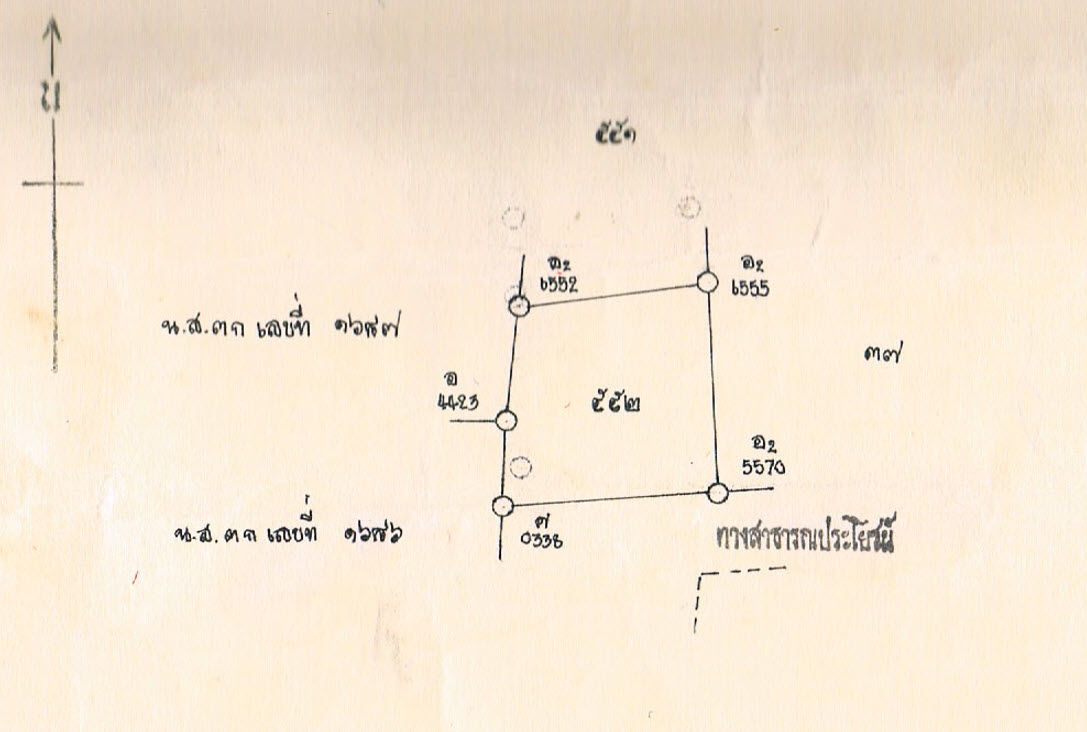 Gallery Image 8